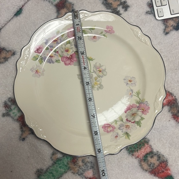 Vintage Homer Laughlin Virginia Rose Dinnerplate dinnerware - Picture 6 of 7